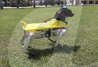FEATURE - Roboter Dobermann reagiert auf Sprachbefehle