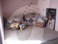 FEATURE - Übernachten im Beagle-Hotel