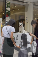 NEWS - Luxus-Shops in Tokios Viertel Ginza