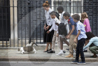 Larry the Downing Street cat 