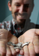 Detectorists find huge Norman coin hoard. A huge hoard of silver coins dating back to the aftermath of the Battle of Hastings could be declared as treasure. The 2,528 silver coins were found in the Chew Valley, north-east Somerset, by a group of metal det