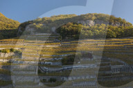 REPORTAGE - Weinberge Waadtland