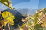 REPORTAGE - Weinberge Waadtland