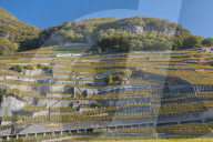 REPORTAGE - Weinberge Waadtland