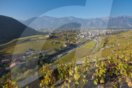 REPORTAGE - Weinberge Waadtland