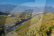 REPORTAGE - Weinberge Waadtland