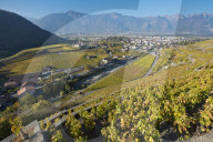 REPORTAGE - Weinberge Waadtland