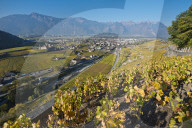 REPORTAGE - Weinberge Waadtland