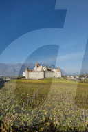 REPORTAGE - Weinberge Waadtland