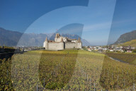 REPORTAGE - Weinberge Waadtland