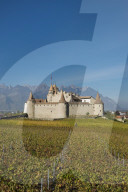 REPORTAGE - Weinberge Waadtland