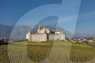REPORTAGE - Weinberge Waadtland