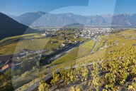 REPORTAGE - Weinberge Waadtland