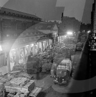 Mono Negative