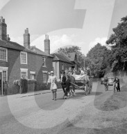 Mono Negative