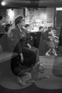 Mono Negative