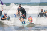 FEATURE -  Vierbeiner beim Surfen am Hundestrand von Del Mar