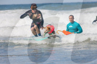 FEATURE -  Vierbeiner beim Surfen am Hundestrand von Del Mar