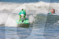 FEATURE -  Vierbeiner beim Surfen am Hundestrand von Del Mar