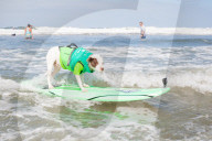 FEATURE -  Vierbeiner beim Surfen am Hundestrand von Del Mar
