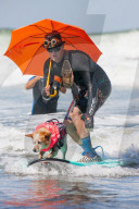 FEATURE -  Vierbeiner beim Surfen am Hundestrand von Del Mar