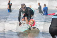 FEATURE -  Vierbeiner beim Surfen am Hundestrand von Del Mar