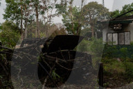 Bolsonaro's Amazon inferno