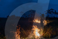 Bolsonaro's Amazon inferno