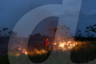 Bolsonaro's Amazon inferno