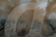 Bolsonaro's Amazon inferno