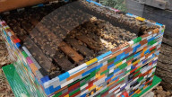 FEATURE - Weltpremiere: Lego-Bienenstock