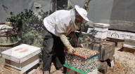 FEATURE - Weltpremiere: Lego-Bienenstock