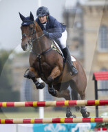 The Ssangyong Blenheim Palace Ho