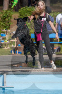 FEATURE -  Erster German Petfluencer Award 2019 in Köln