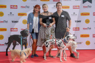 FEATURE -  Erster German Petfluencer Award 2019 in Köln