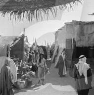 Mono Negative