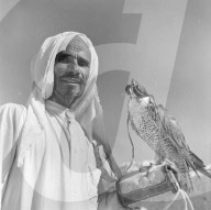 Mono Negative