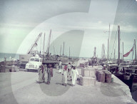Mono Negative