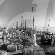 Mono Negative
