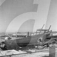 Mono Negative