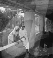 Mono Negative
