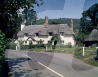 Colour Medium Format Transparency
