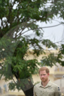 PEOPLE - Prinz Harry sitzt unter Diana-Baum in Angola