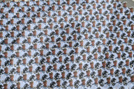 NEWS - China feiert 70 Jahre Volksrepublik mit Parade in Peking