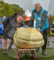 FEATURE - Der Wahnsinn: Riesenhaft gezüchtetes Gemüse bei den  Vegetable Championships in Malvern