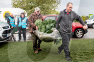 FEATURE - Der Wahnsinn: Riesenhaft gezüchtetes Gemüse bei den  Vegetable Championships in Malvern