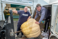 FEATURE - Der Wahnsinn: Riesenhaft gezüchtetes Gemüse bei den  Vegetable Championships in Malvern
