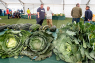 FEATURE - Der Wahnsinn: Riesenhaft gezüchtetes Gemüse bei den  Vegetable Championships in Malvern