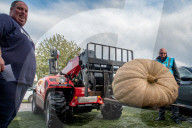 FEATURE - Der Wahnsinn: Riesenhaft gezüchtetes Gemüse bei den  Vegetable Championships in Malvern