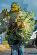 FEATURE - Der Wahnsinn: Riesenhaft gezüchtetes Gemüse bei den  Vegetable Championships in Malvern